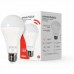 Lampada Smart Rgbw 12w Wi-fi Alexa Google Siri Smarteck